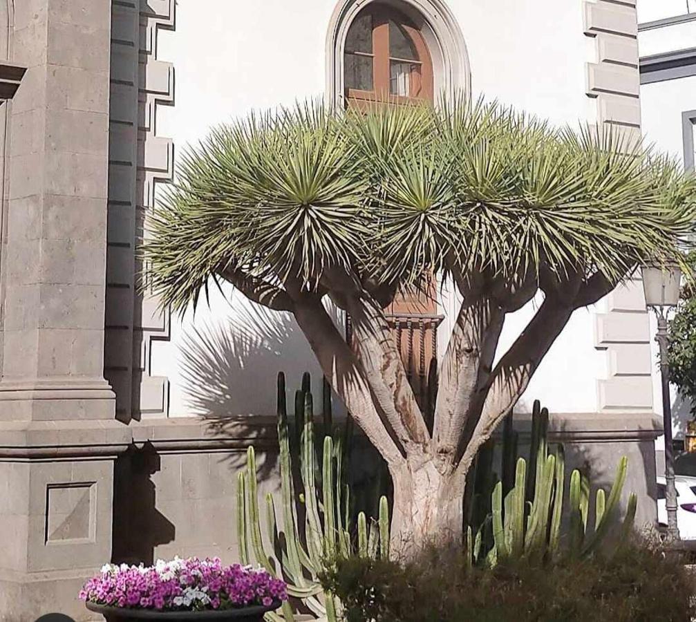 Luxury Flat In Santa Cruzアパートメント エクステリア 写真
